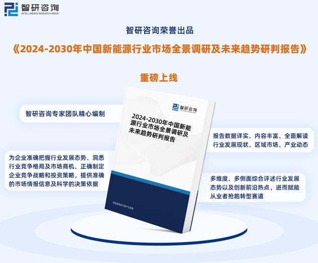 2024新奥资料免费精准,稳固执行方案计划_ZYW49.303持久版