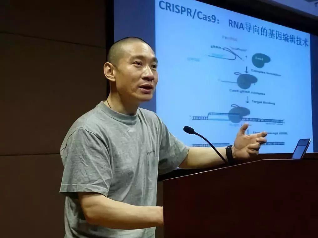 维保工程 第277页