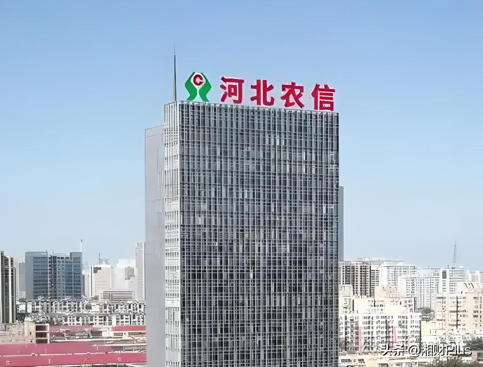 银行分红最新动态，深度解读与预测分析报告