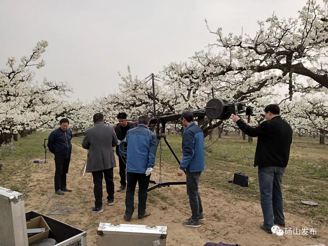 砀山自然美景探索之旅的最新报道