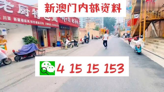 2024新澳门天天开好彩大全正版,全面信息解释定义_视频版53.522
