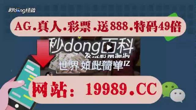 2024澳门今晚开奖记录,高效性设计规划_极速版42.913