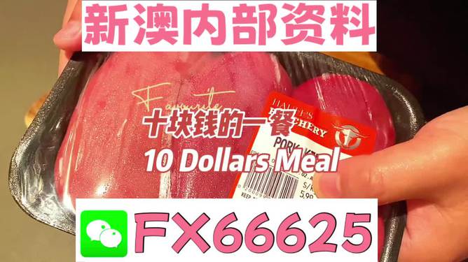 新澳免费资料精准大全,专业地调查详解_理财版10.369