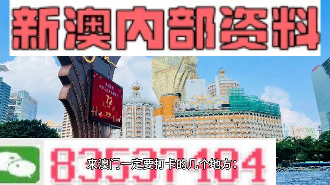 2024新澳门王中王正版,精细化方案决策_瞬间版14.236