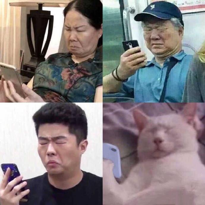 实验行业冷库 第140页