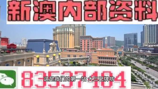 2024新澳正版免费资料,实时数据分析_高速版36.755