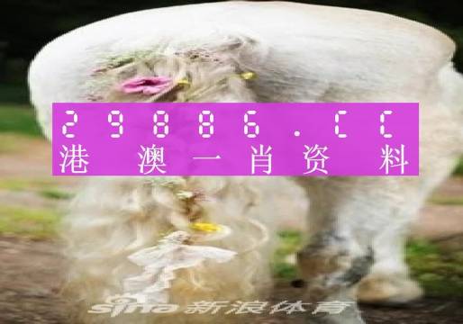 新闻中心 第118页