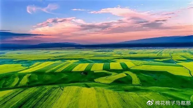 伊犁旅游推荐，疫情最新情况下的旅行指南