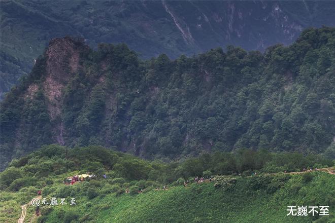 茂县九顶山最新日常趣事，山间欢乐时光揭秘