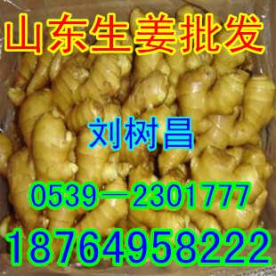 莱芜生姜今日最新价格，市场变化中的行情与应对之道