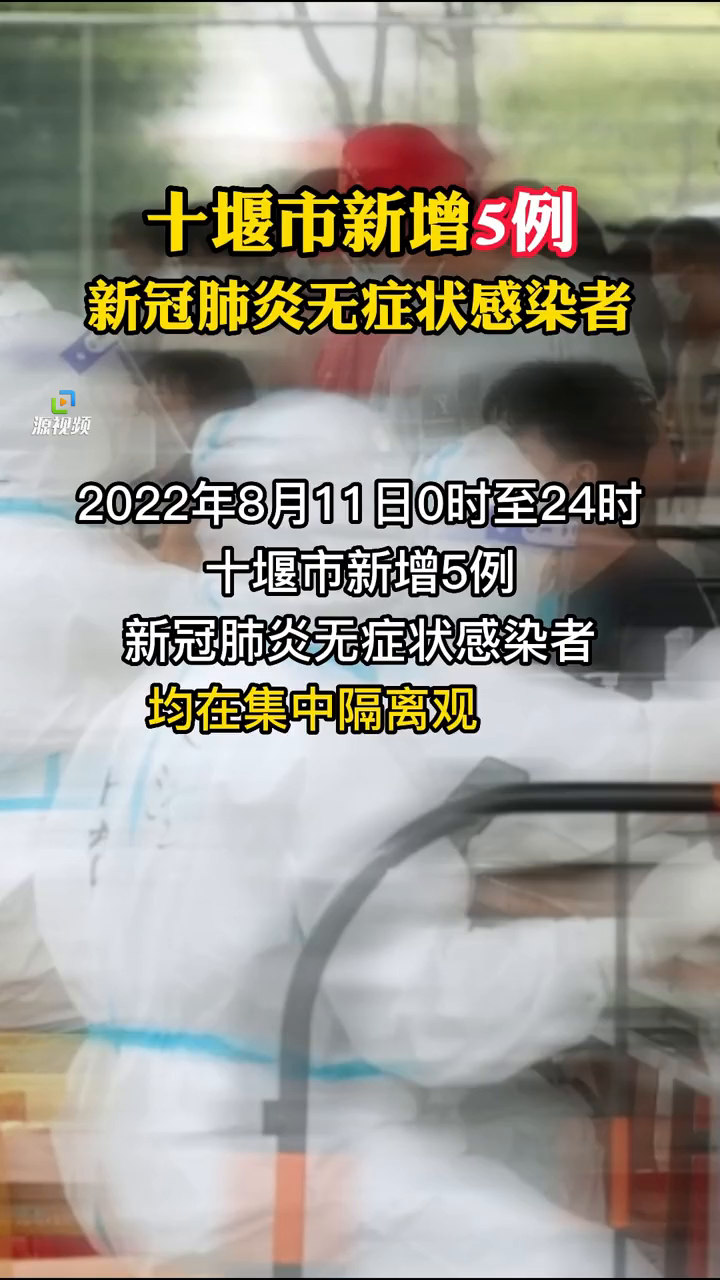 湖北新增肺炎疫情最新动态，小巷深处的独特风味