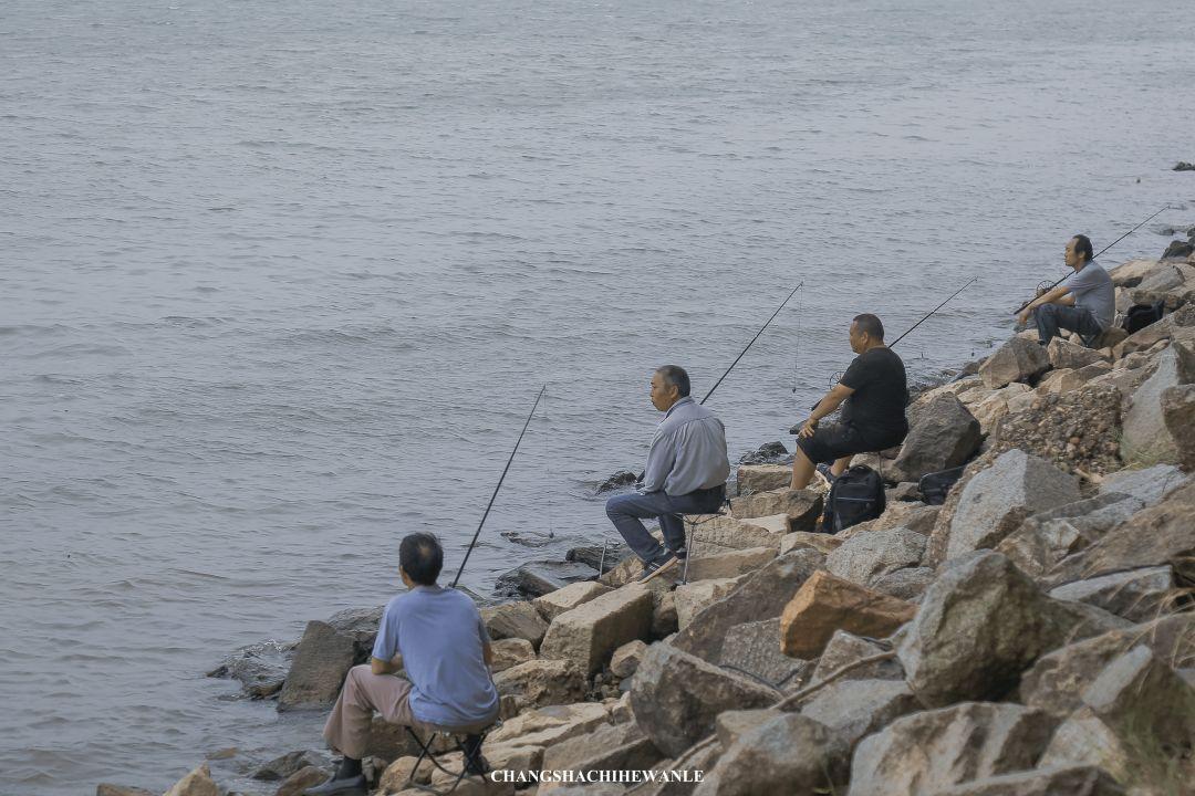 长沙钓鱼比赛，水面波动间的人生自信与成就感之旅