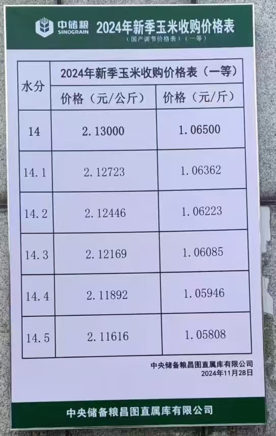 通辽玉米收购价信息揭秘，巷弄深处的玉米情缘