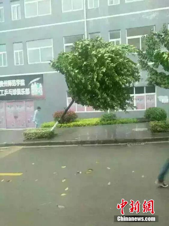 贵阳最新气象预警及防范指南🚨