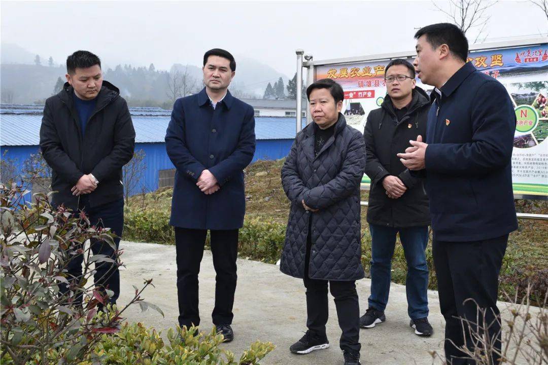 镇雄最新换届开启新征程，新领导班子亮相引领未来